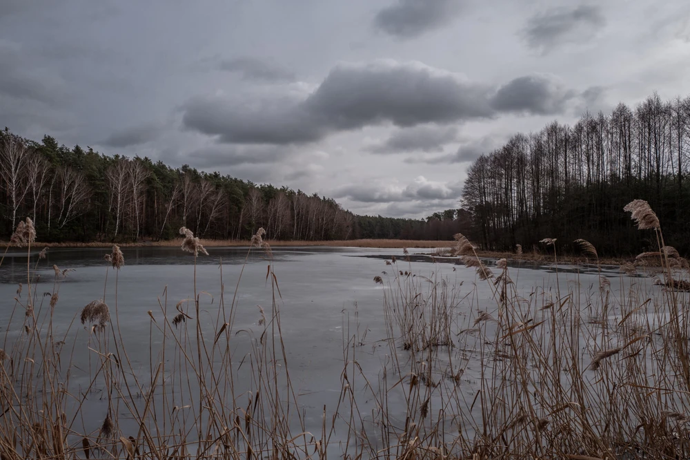 Gambar diunggah dening Łukasz