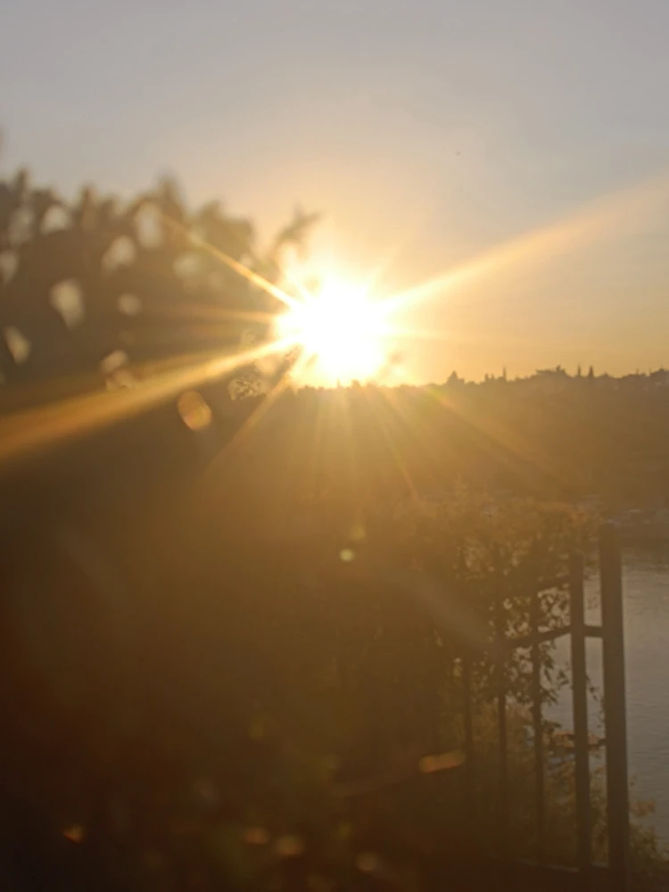 Faruk tarafından yüklenen görsel