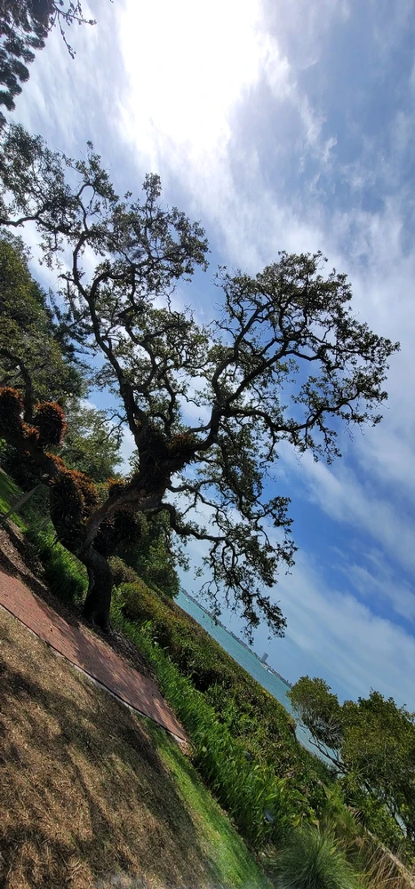 Image uploaded by William