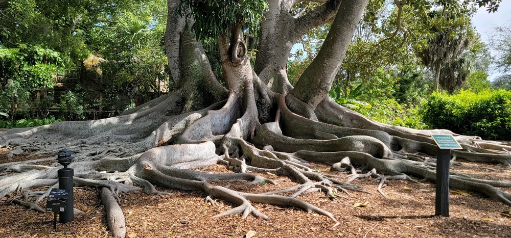 Image uploaded by William