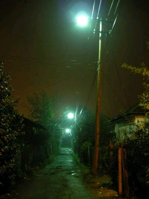 Imagen subida por Alejandro