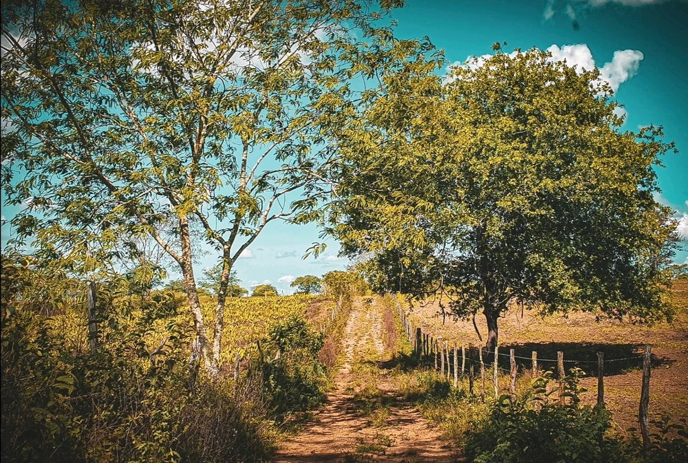 Imagem enviada por Éwerton ♂️