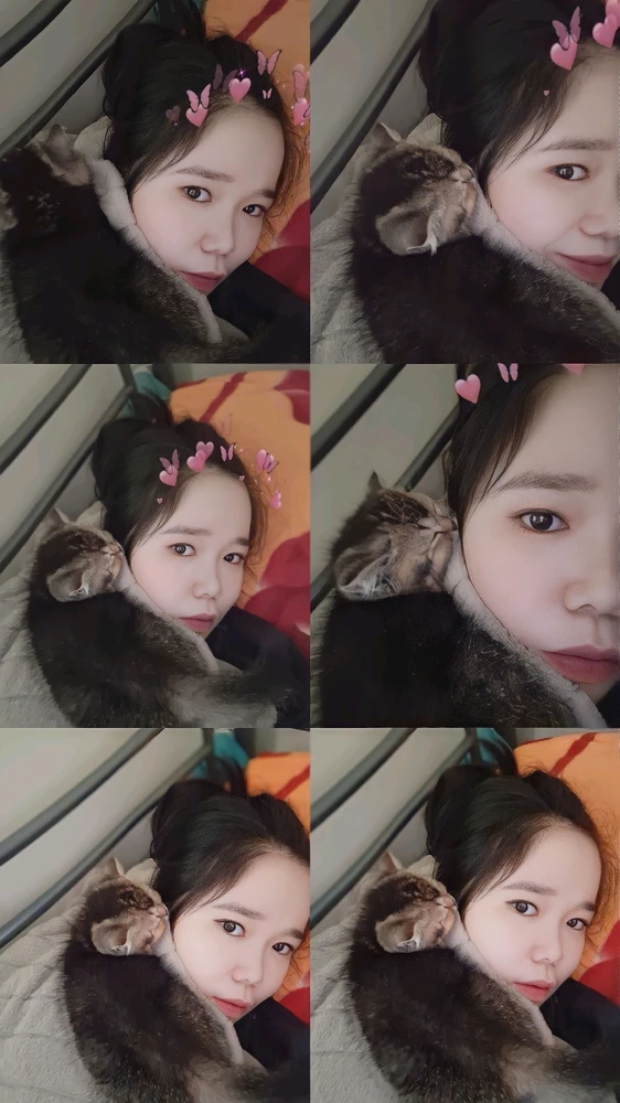 由Nabi🦋上传的图片