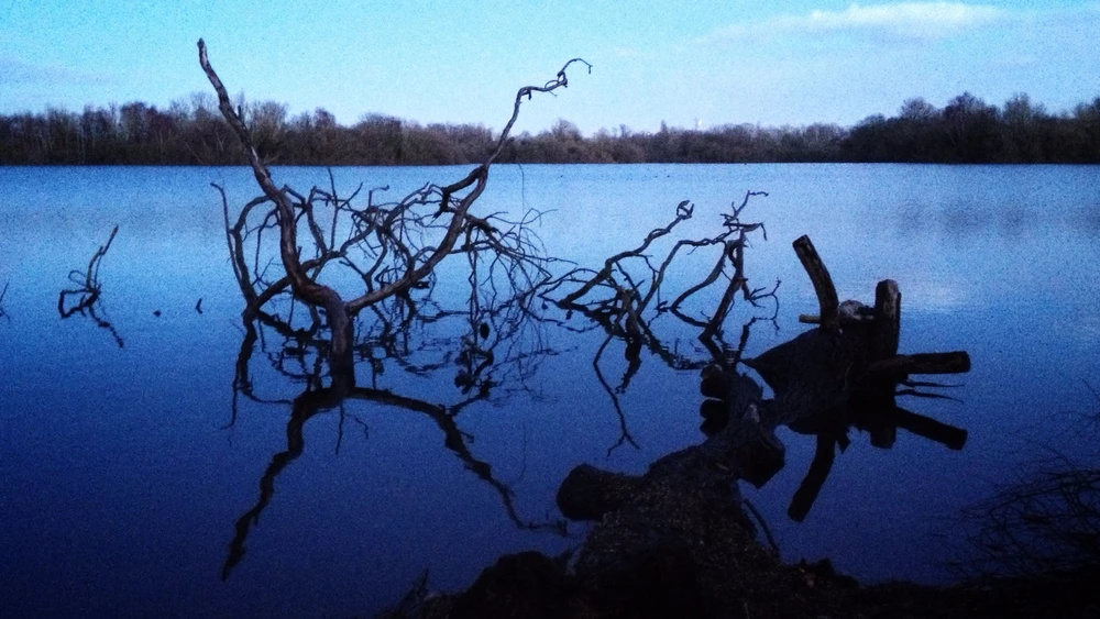 Before the Winter Sunrise on the Surrey Docks.