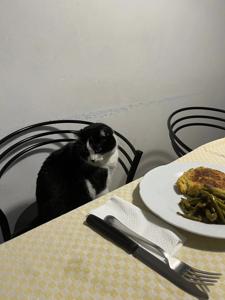 Immagine caricata da Sara