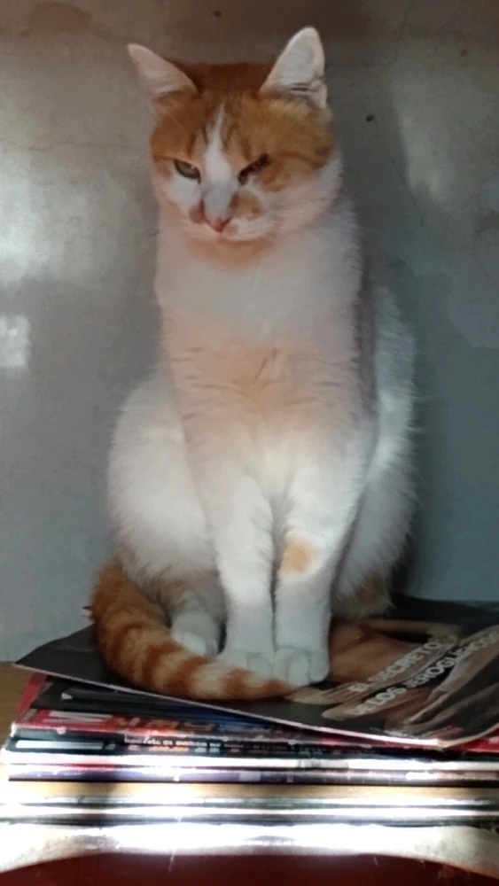 Imagen subida por Claudio