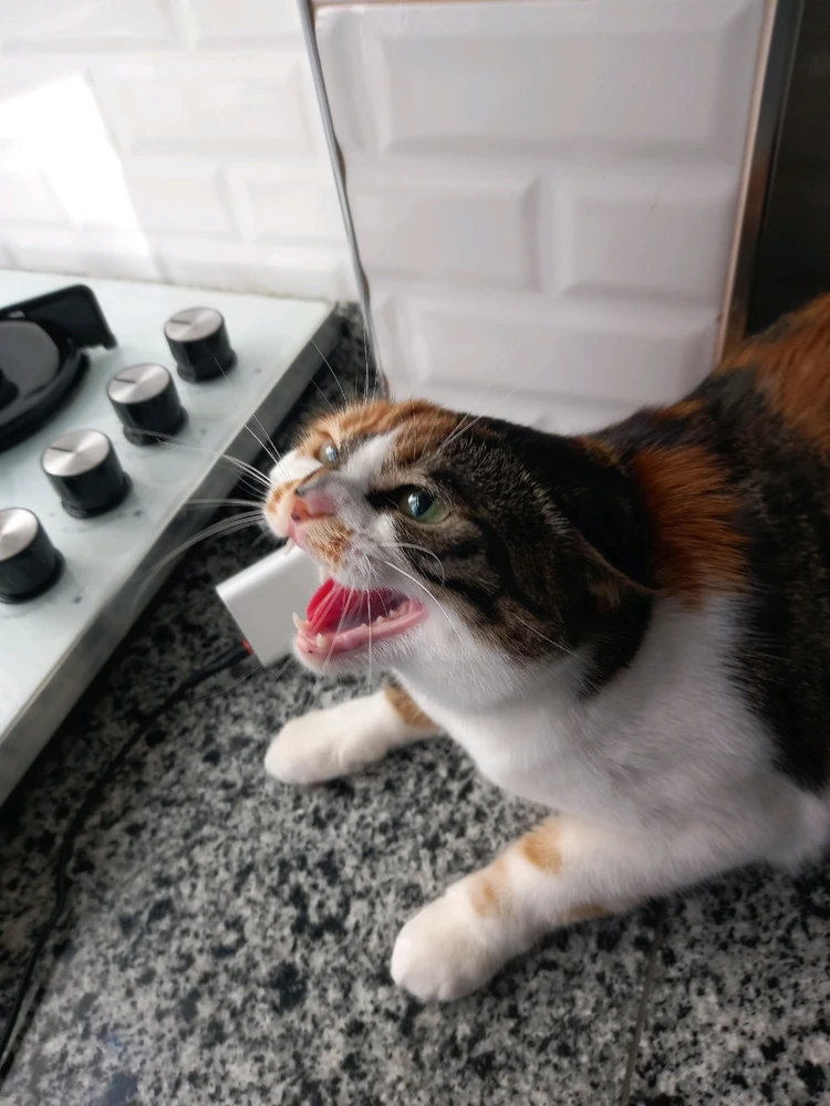 Arda tarafından yüklenen görsel