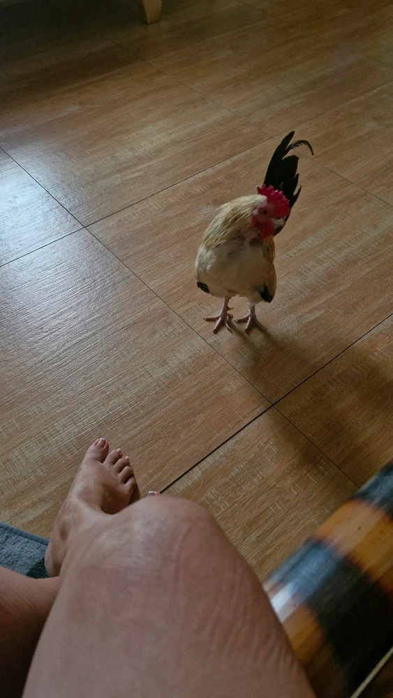 Immagine caricata da Liza