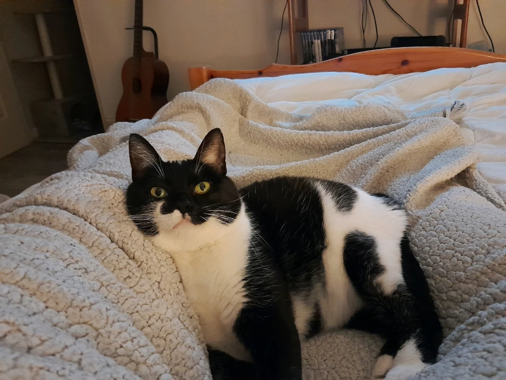 Image ajoutée par Aurélien