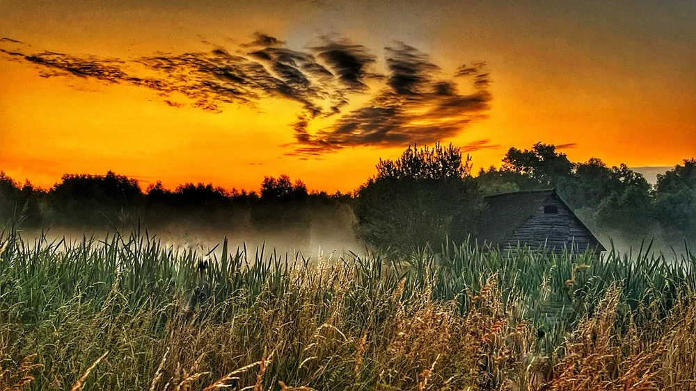 Afbeelding geüpload door Efra