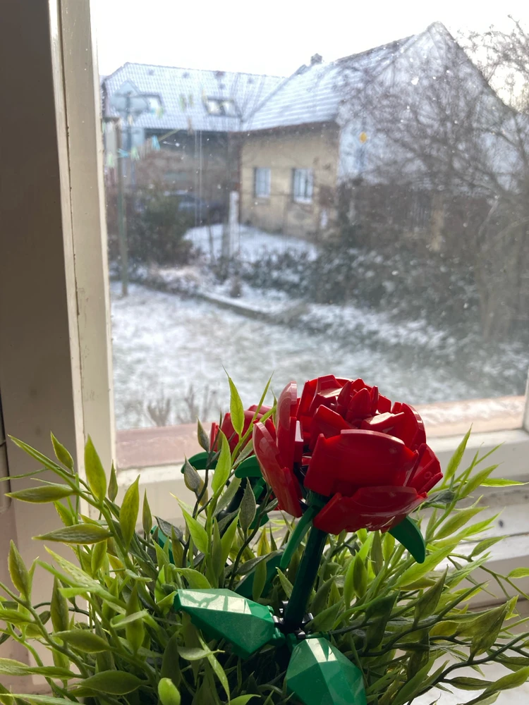 Obrázek nahrál Matěj