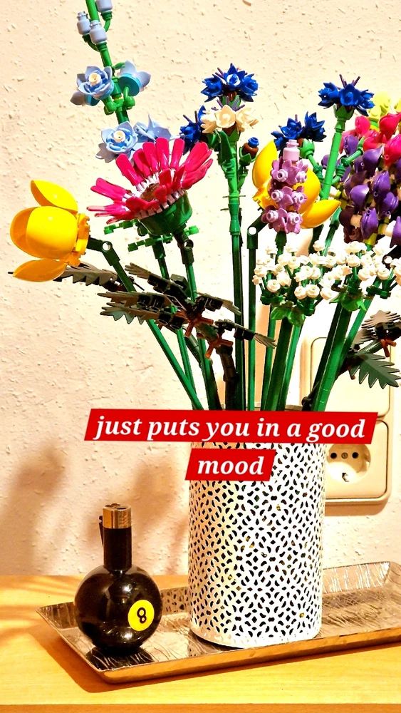 Bild hochgeladen von STEFAN