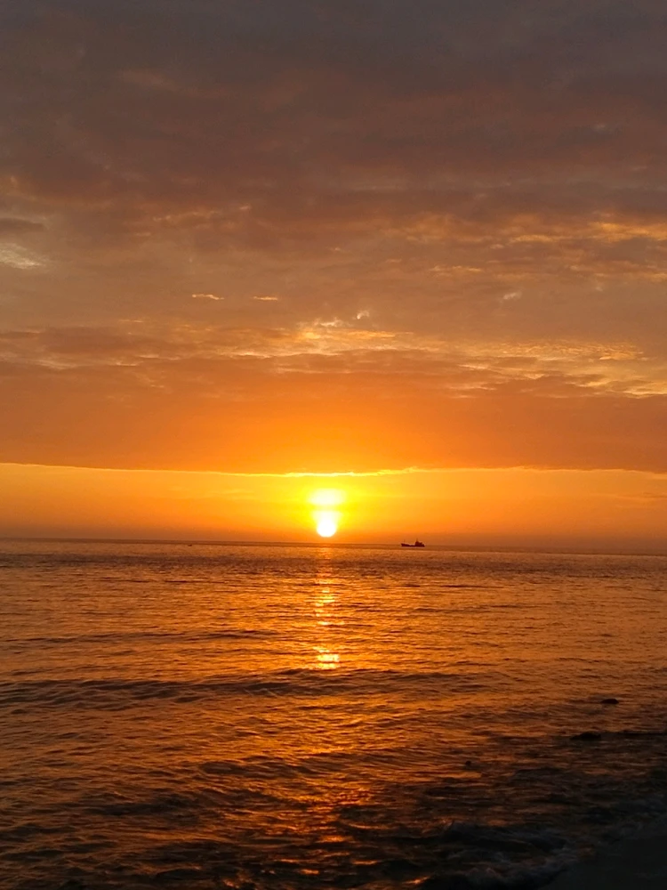 Katherineがアップロードした画像