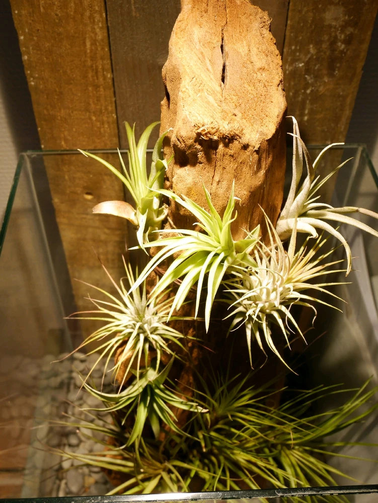 Image ajoutée par Bapt