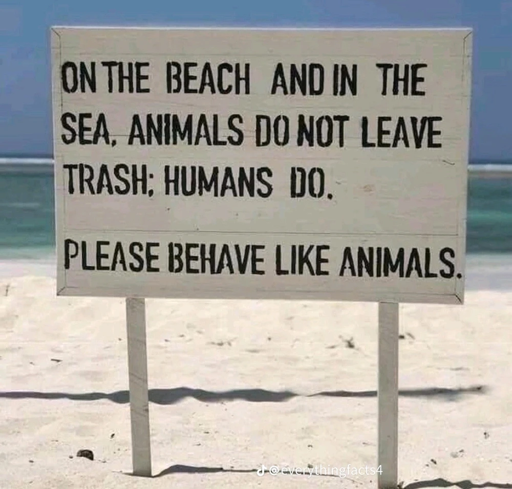 Image uploaded by Kim