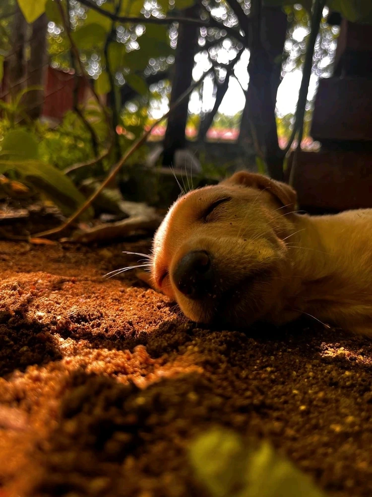 Image uploaded by GR7