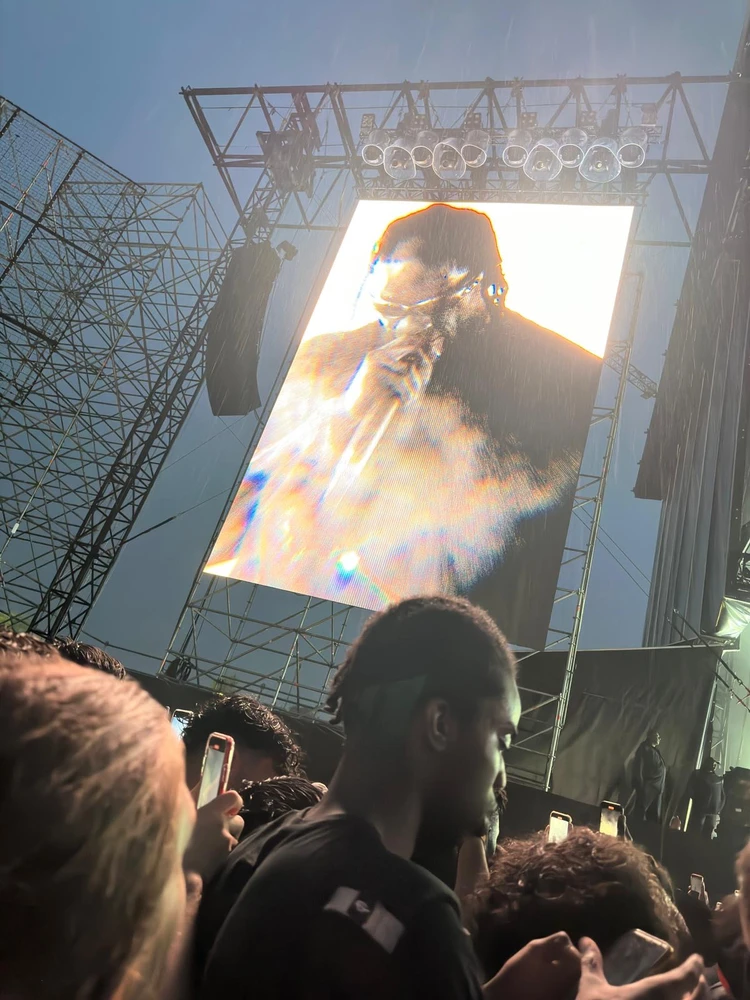 Immagine caricata da sofia