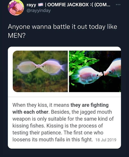 Image uploaded by Max Q.