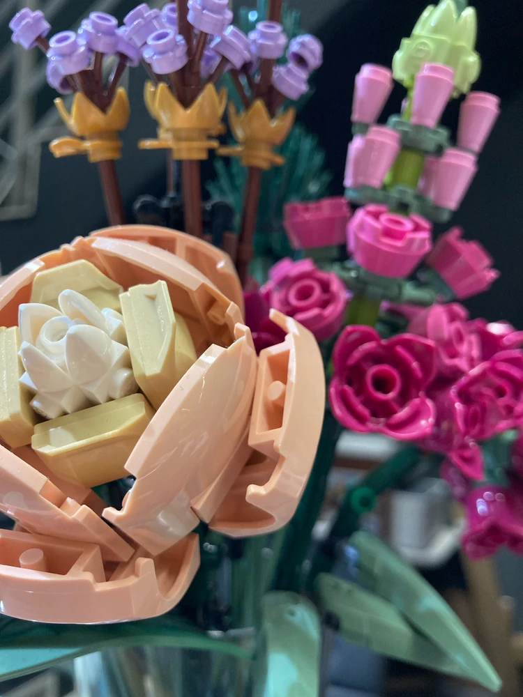 Obrázek nahrál Matěj