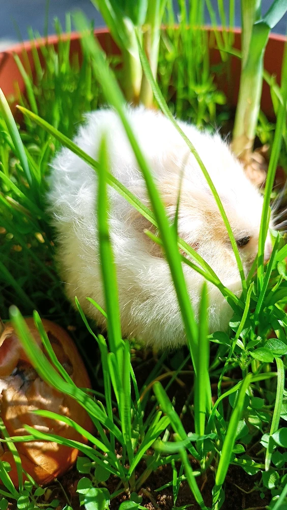 Halil Aslantaş tarafından yüklenen görsel