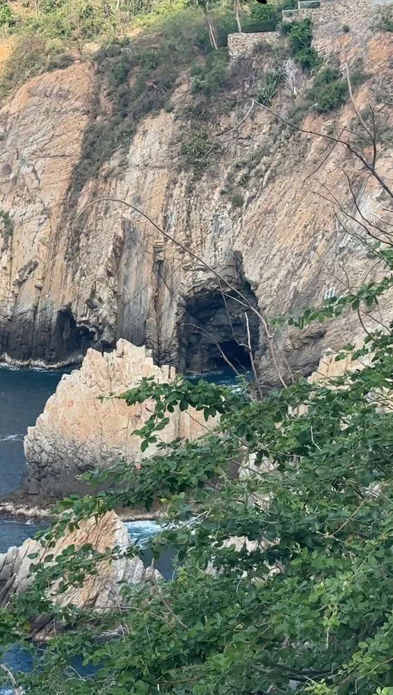 Mariam上傳的圖片
