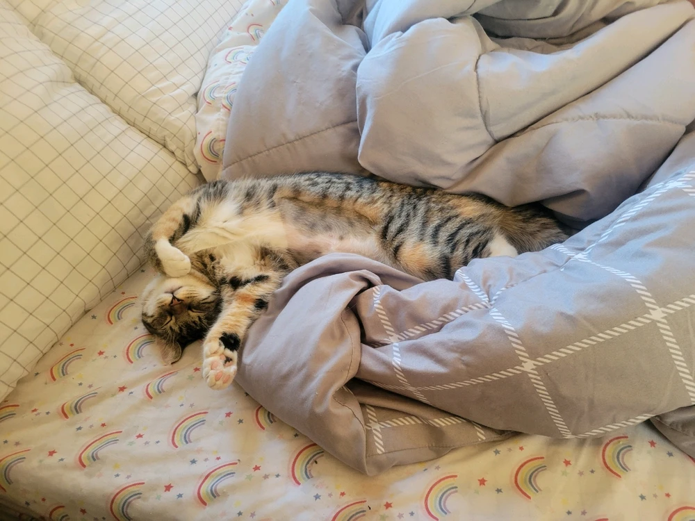 Image uploaded by Ellee/Nyk