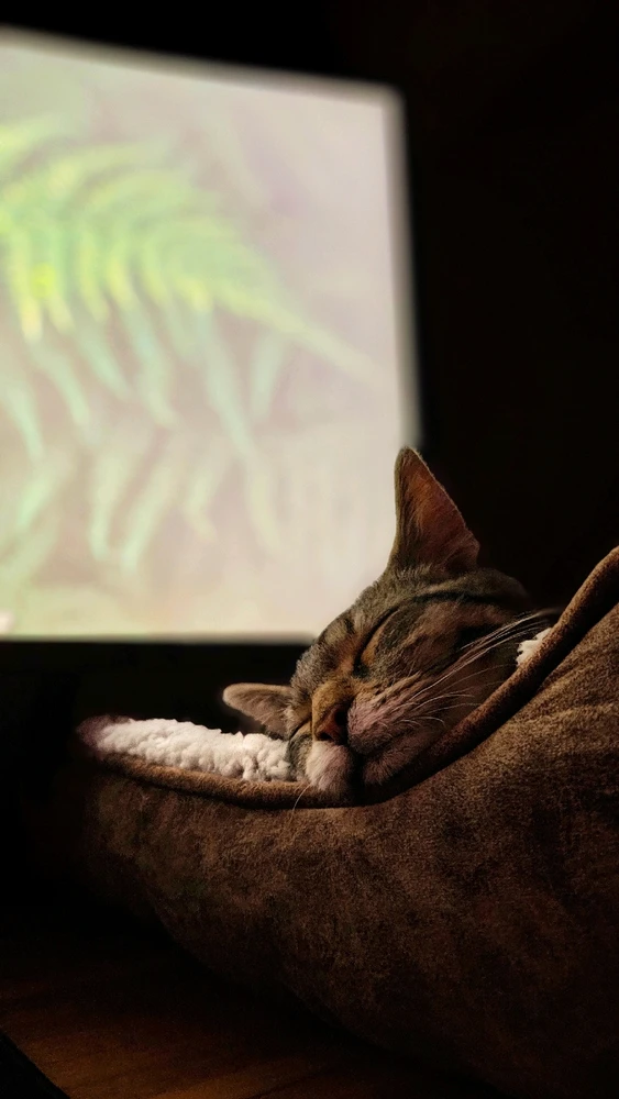 Sliku je učitao/la Mario