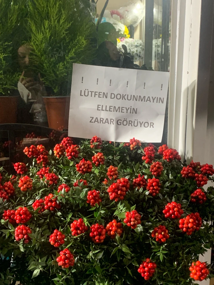 Asel tarafından yüklenen görsel