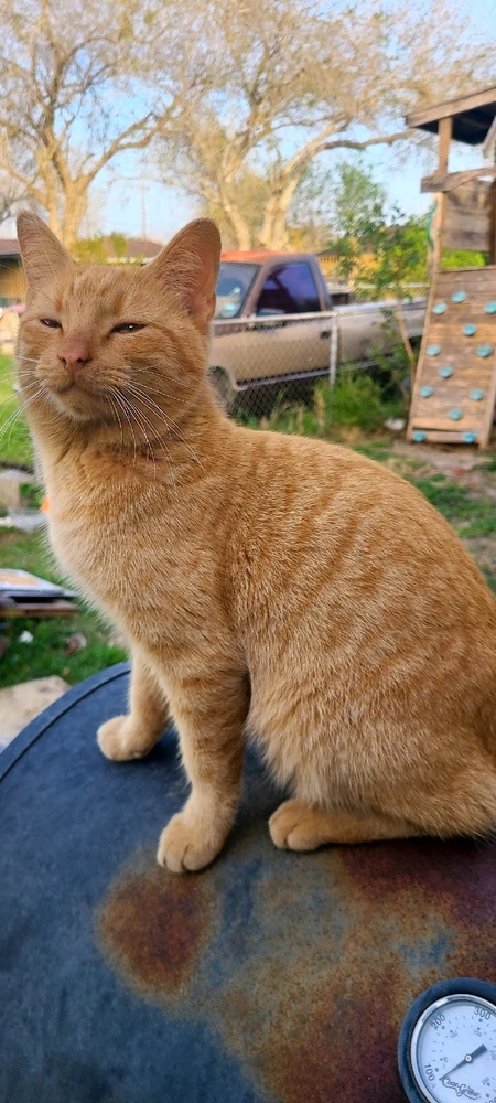 Image uploaded by Ari