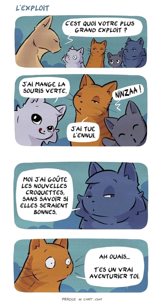 Image ajoutée par Greg