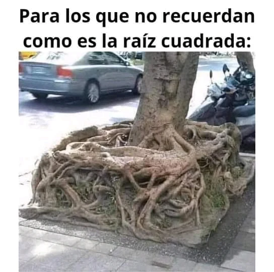 Imagen subida por Alberto