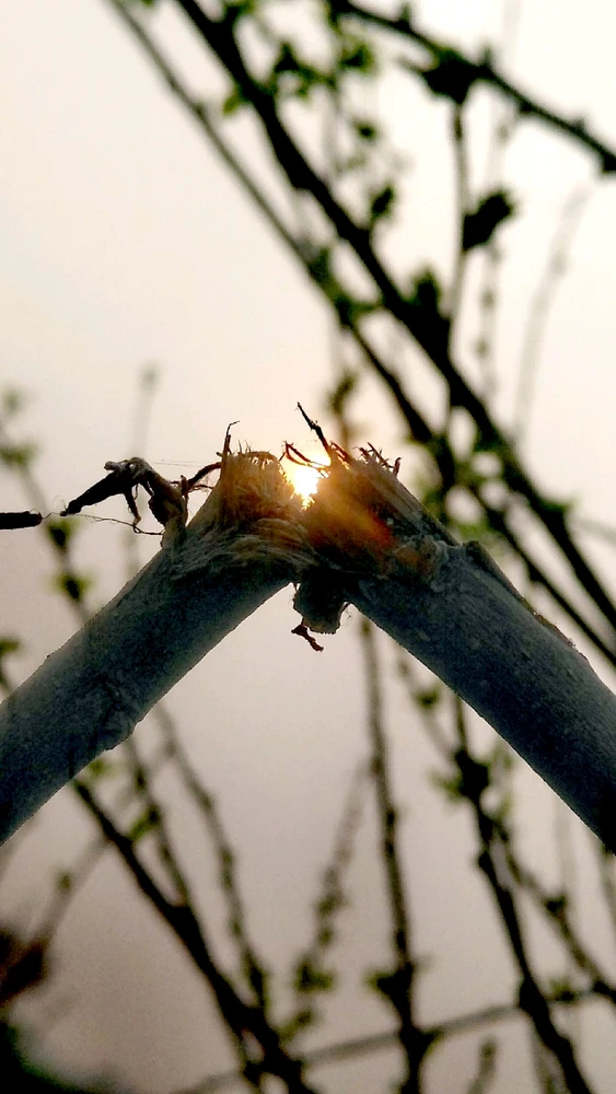 تصویر Uneeb Ahmed کی طرف سے اپ لوڈ کی گئی