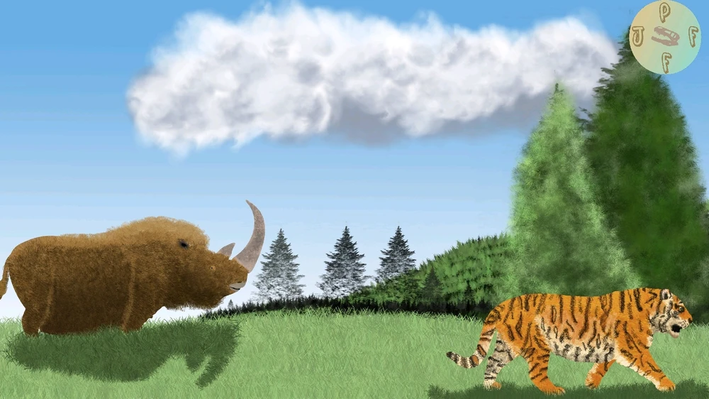 Imagem enviada por Zé Pedro Ferreira