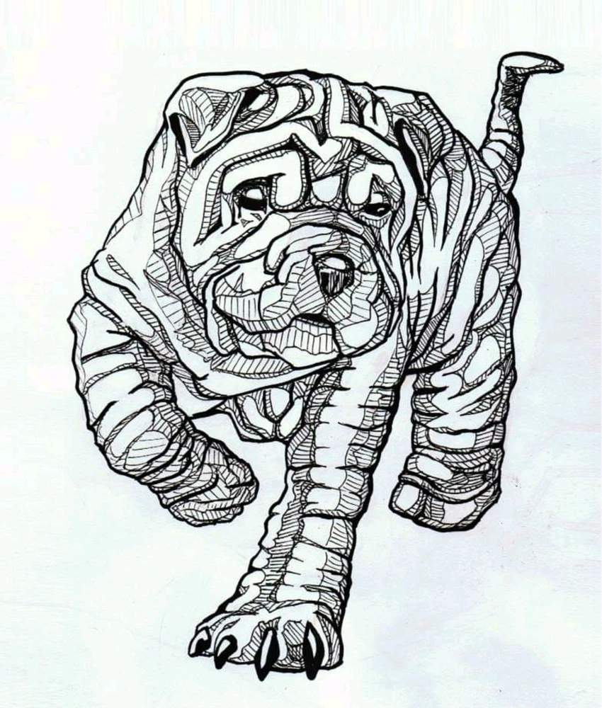 Image uploaded by Carl