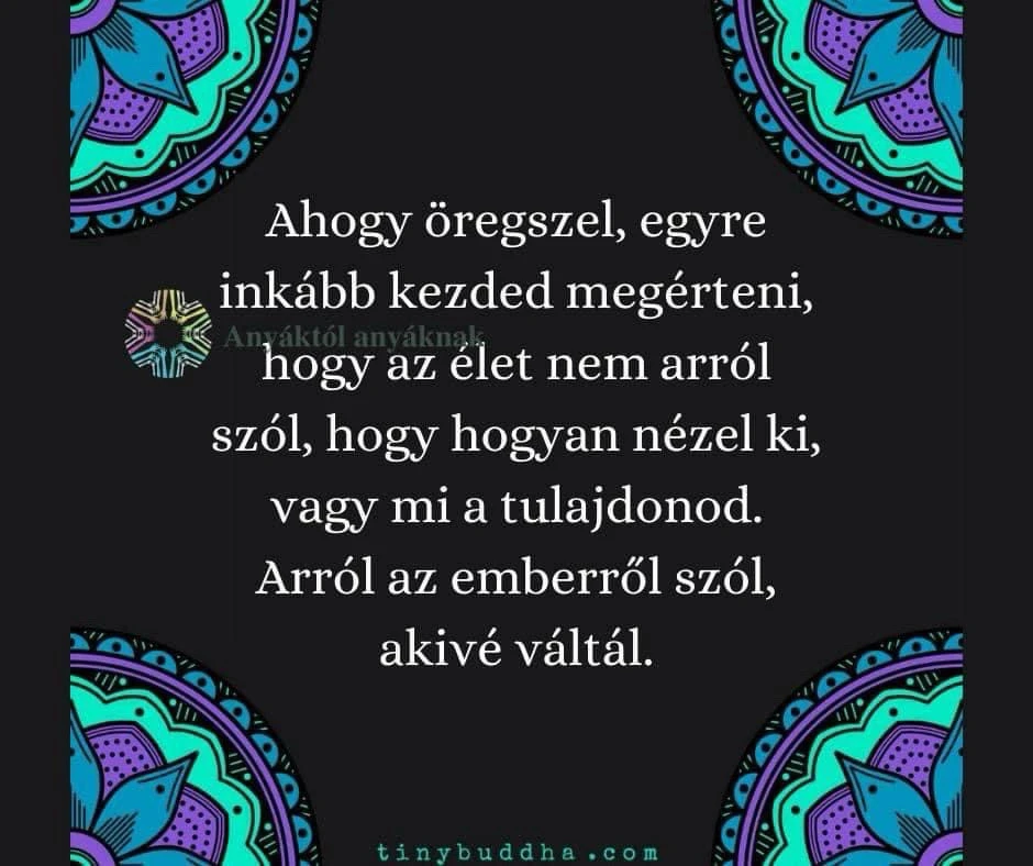 Thea által feltöltött kép