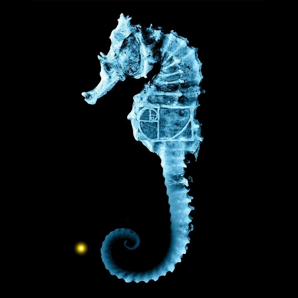 Bild hochgeladen von Timo