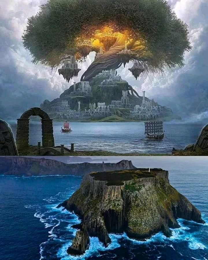 Tom上傳的圖片