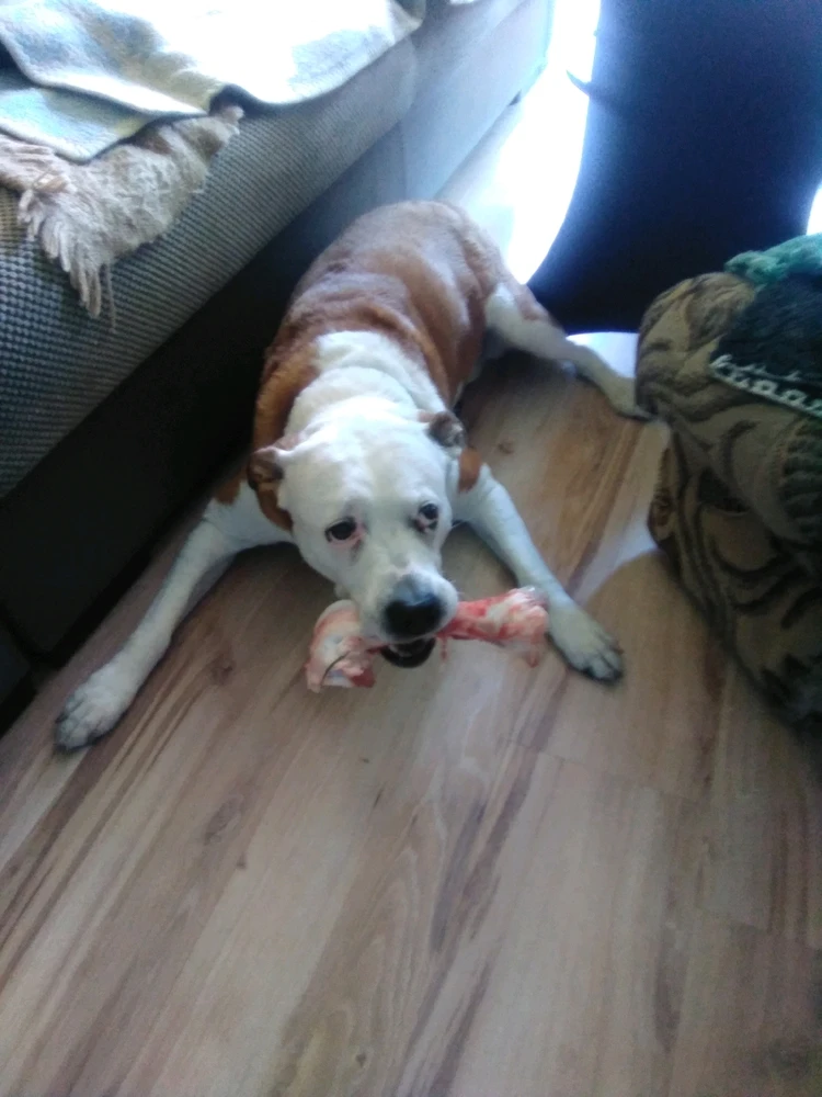 Zdjęcie dodane przez Kamil Wychowaniec