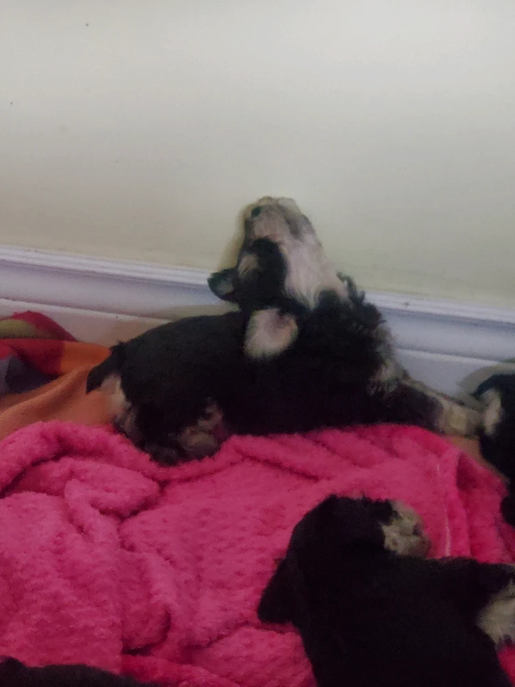 Image uploaded by John