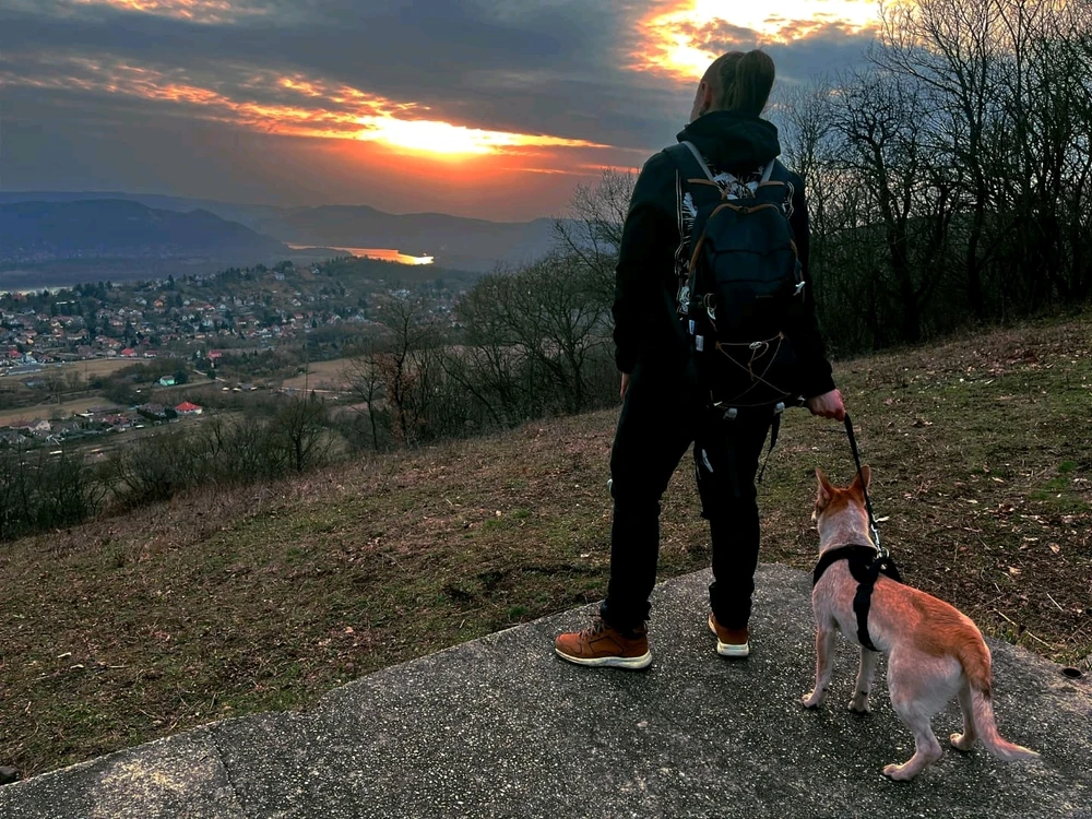 Pankesz által feltöltött kép