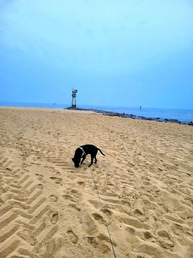 Image uploaded by Kevin