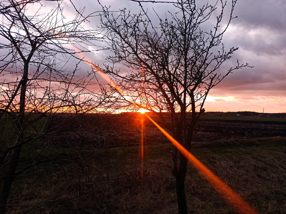 Зображення завантажив Марта
