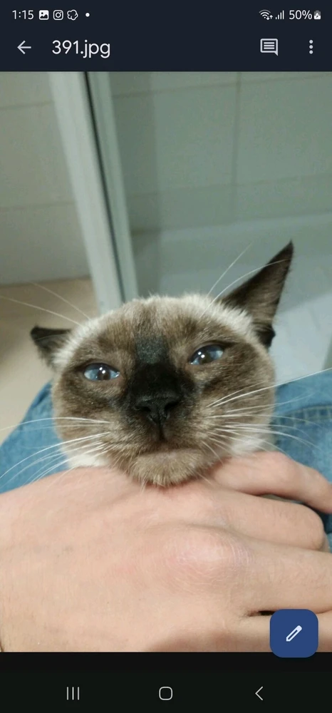 Dani(e)k igotako irudia