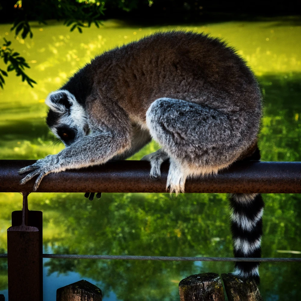 Immagine caricata da Luca