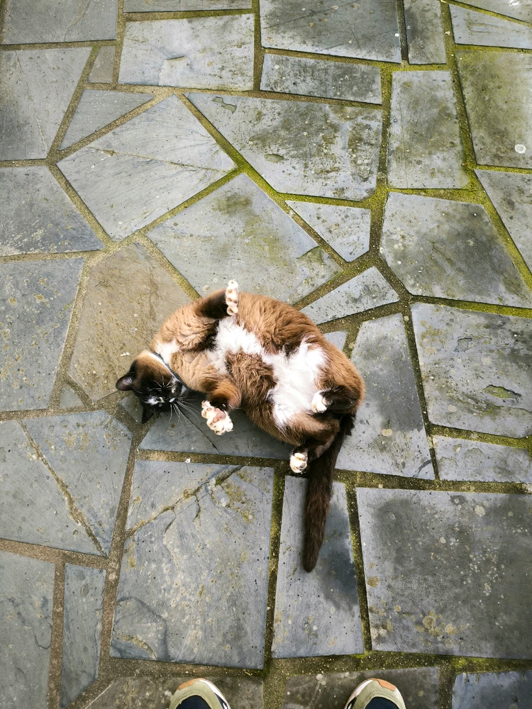 Image ajoutée par Ulysse