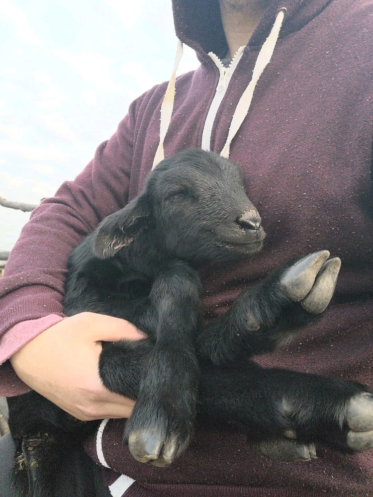 Image uploaded by Hazel