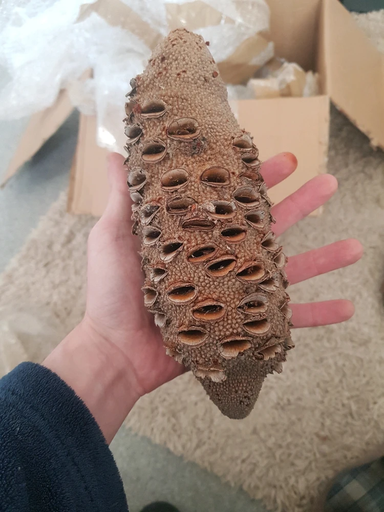 由Rob上传的图片