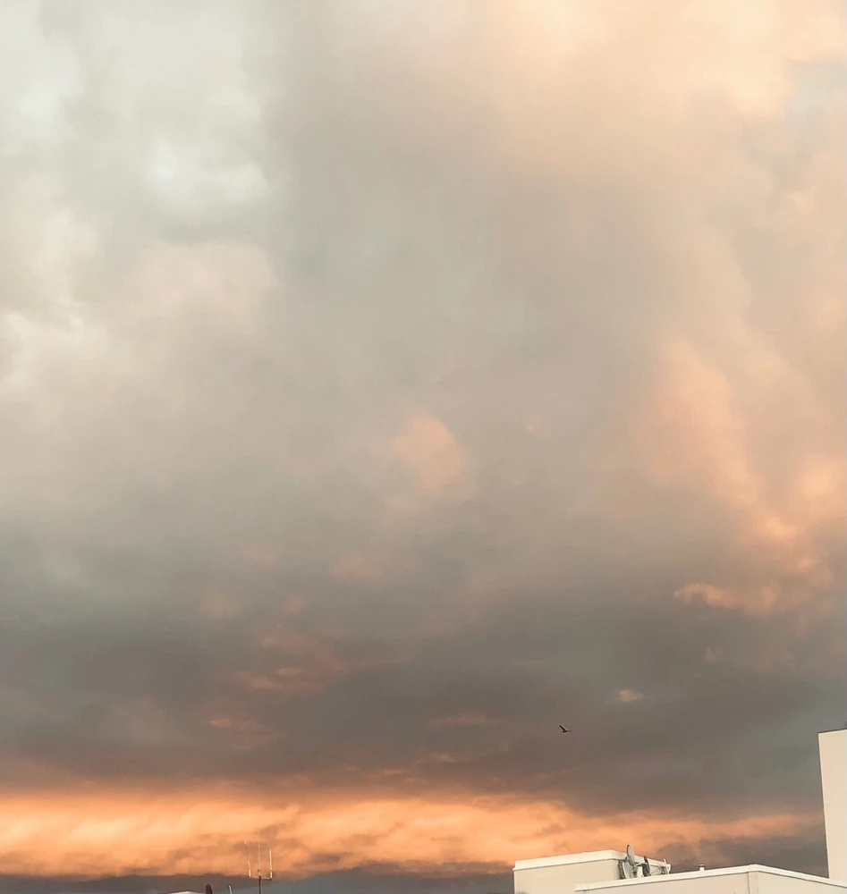 Image uploaded by FunnyGirl  ✨🌙✨