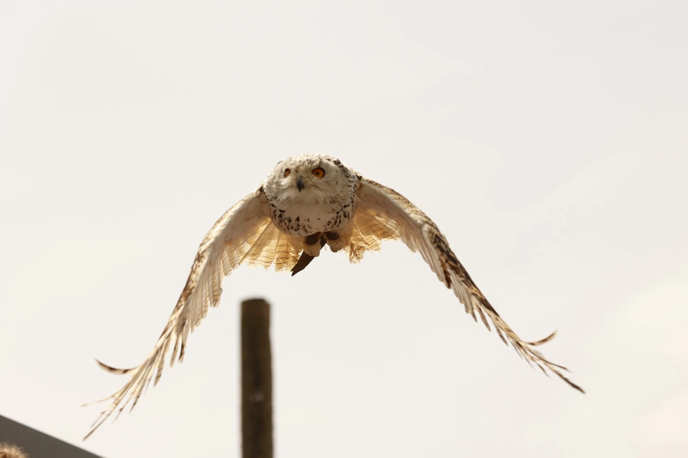 Bild hochgeladen von Steffi