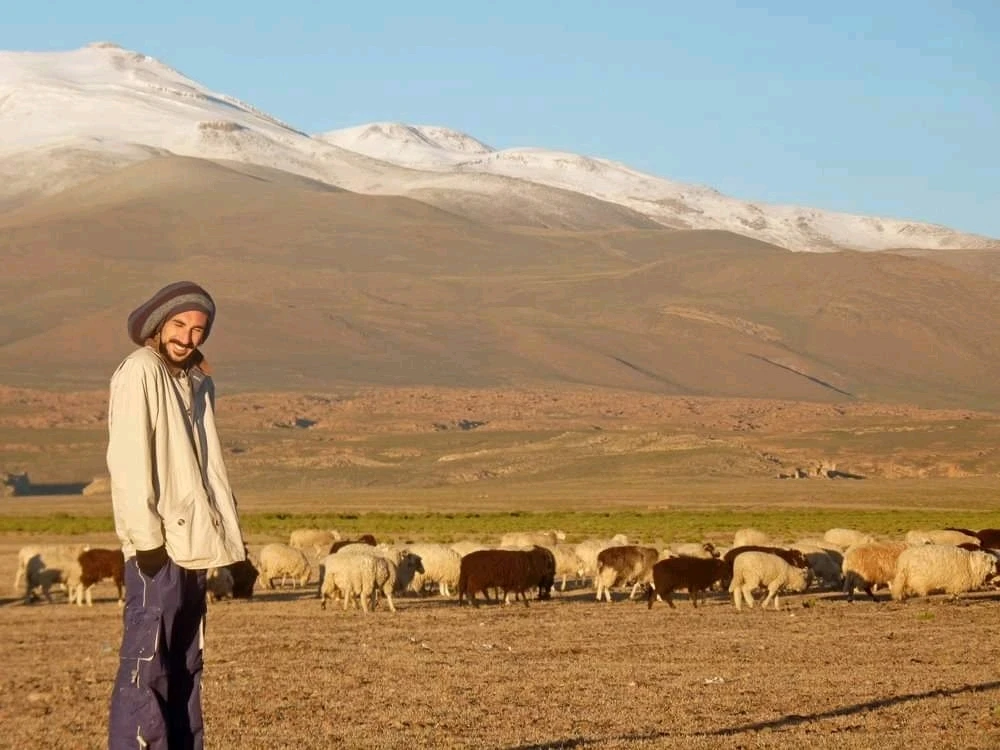 Imagem enviada por Rodrigo